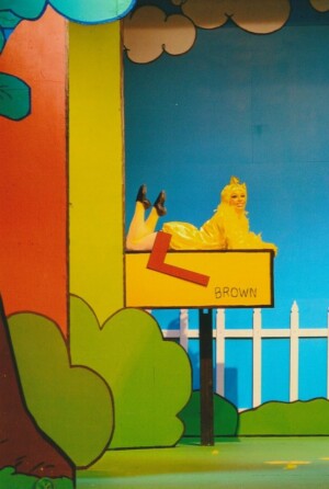 Woodstock sitting on the letterbox